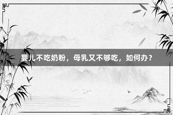 婴儿不吃奶粉，母乳又不够吃，如何办？