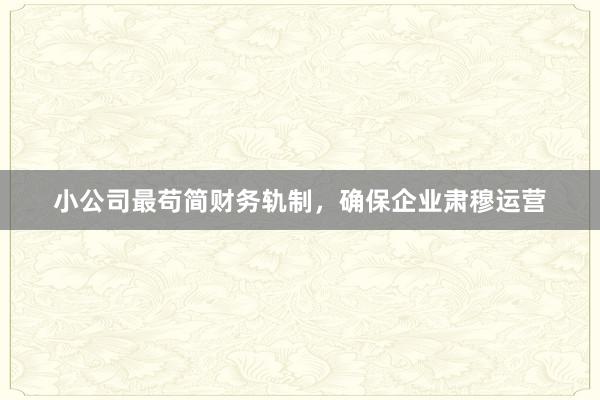 小公司最苟简财务轨制，确保企业肃穆运营