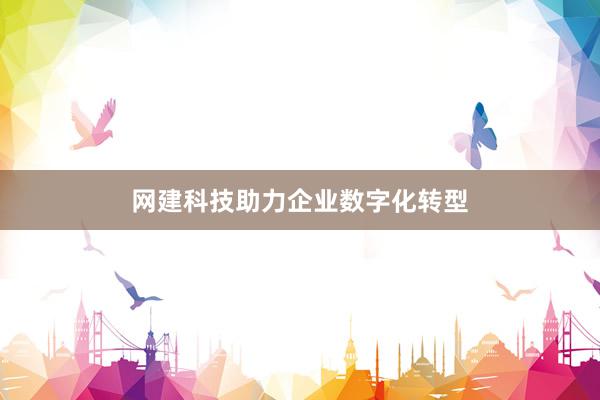 网建科技助力企业数字化转型