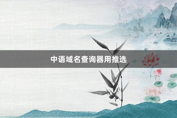 中语域名查询器用推选